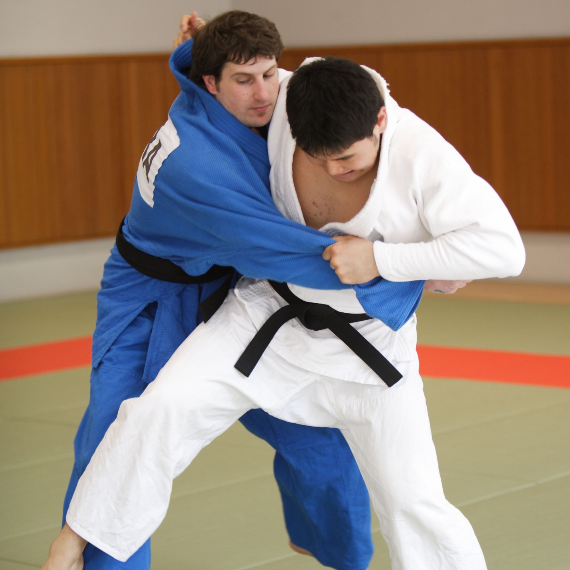 Espírito, Técnica e Força Física — 心技体 (Shin-Gi-Tai)