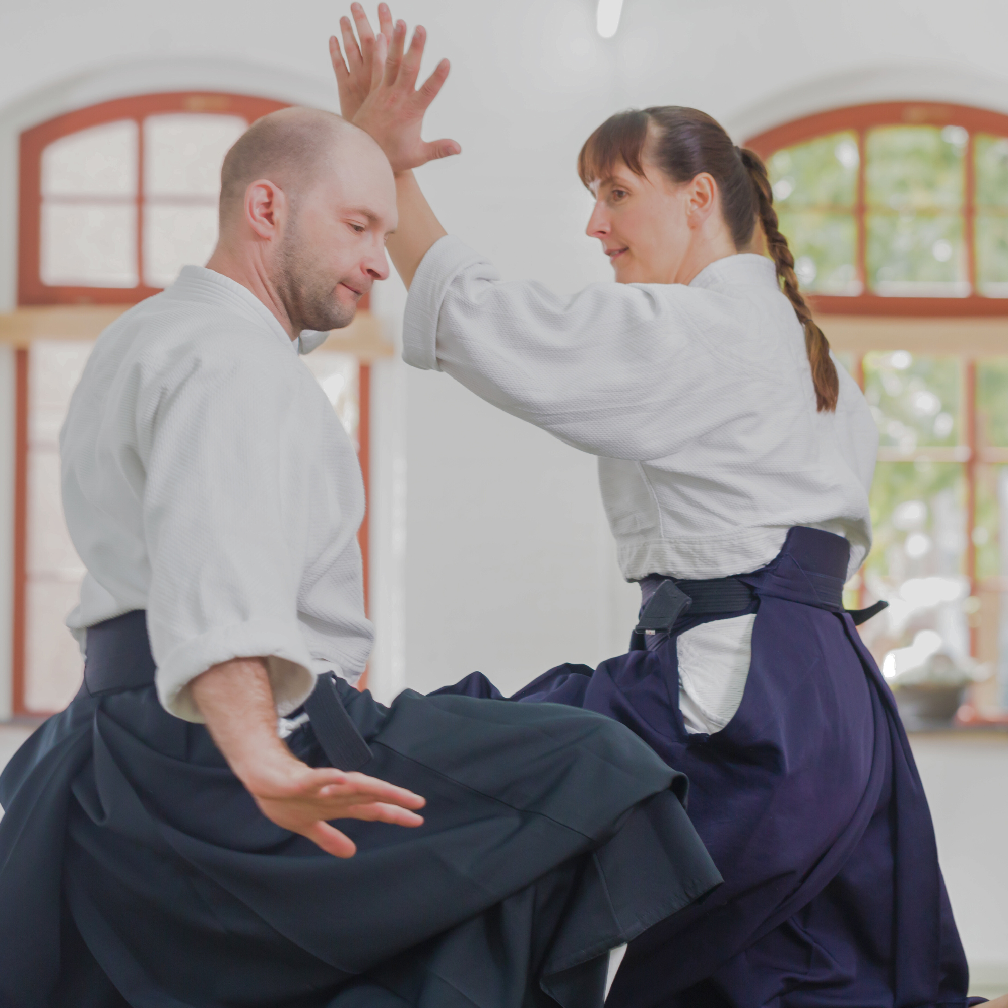 Espírito, Técnica e Força Física — 心技体 (Shin-Gi-Tai)
