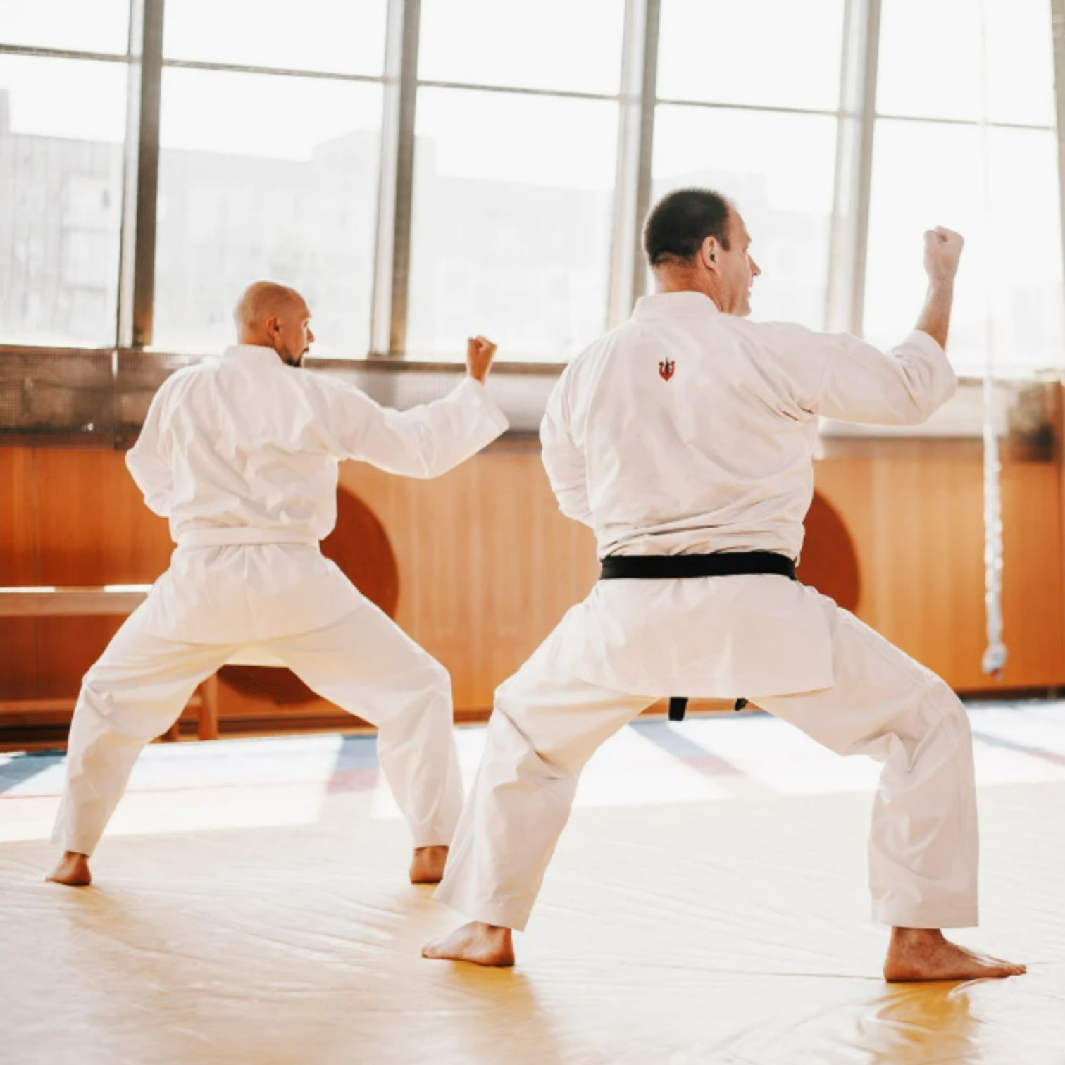 O Caminho da Maestria nas Artes Marciais — 守破離 (Shu-Ha-Ri)