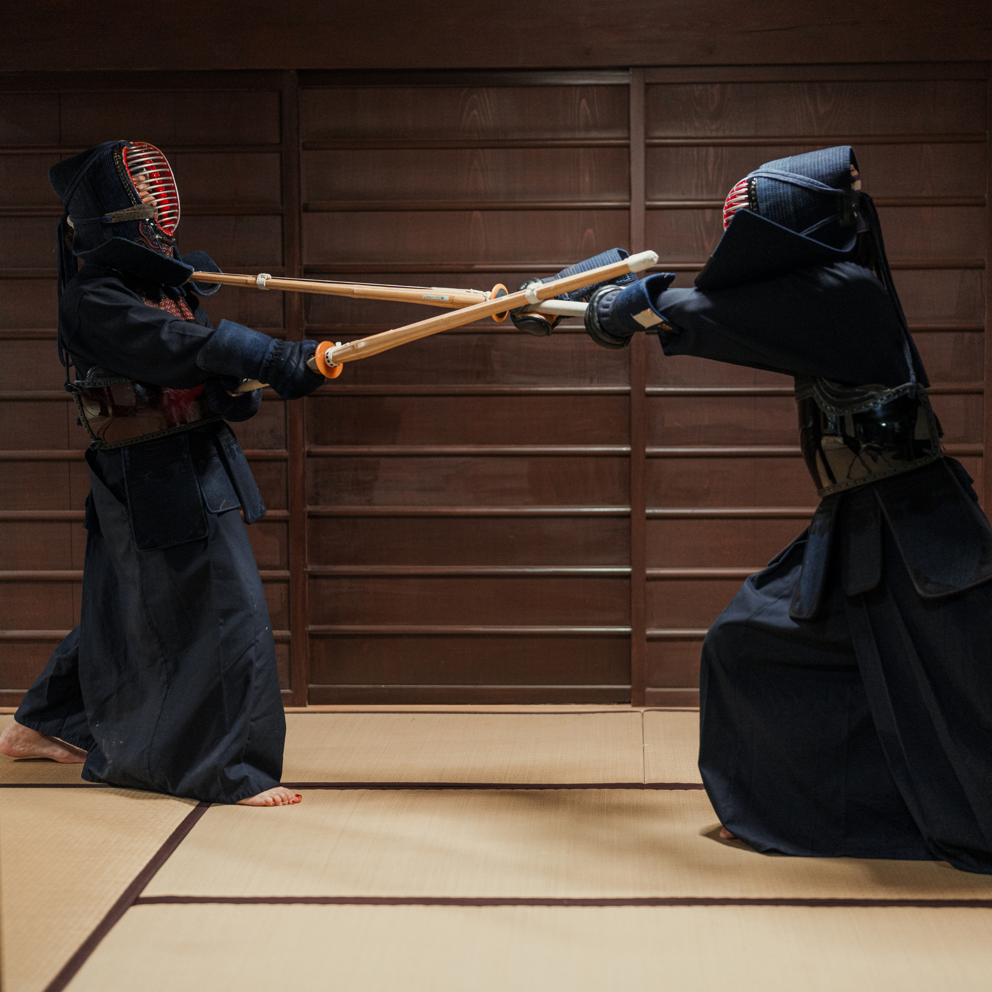 A Jornada de Disciplina do Samurai — 武者修行 (Musha Shugyo) 