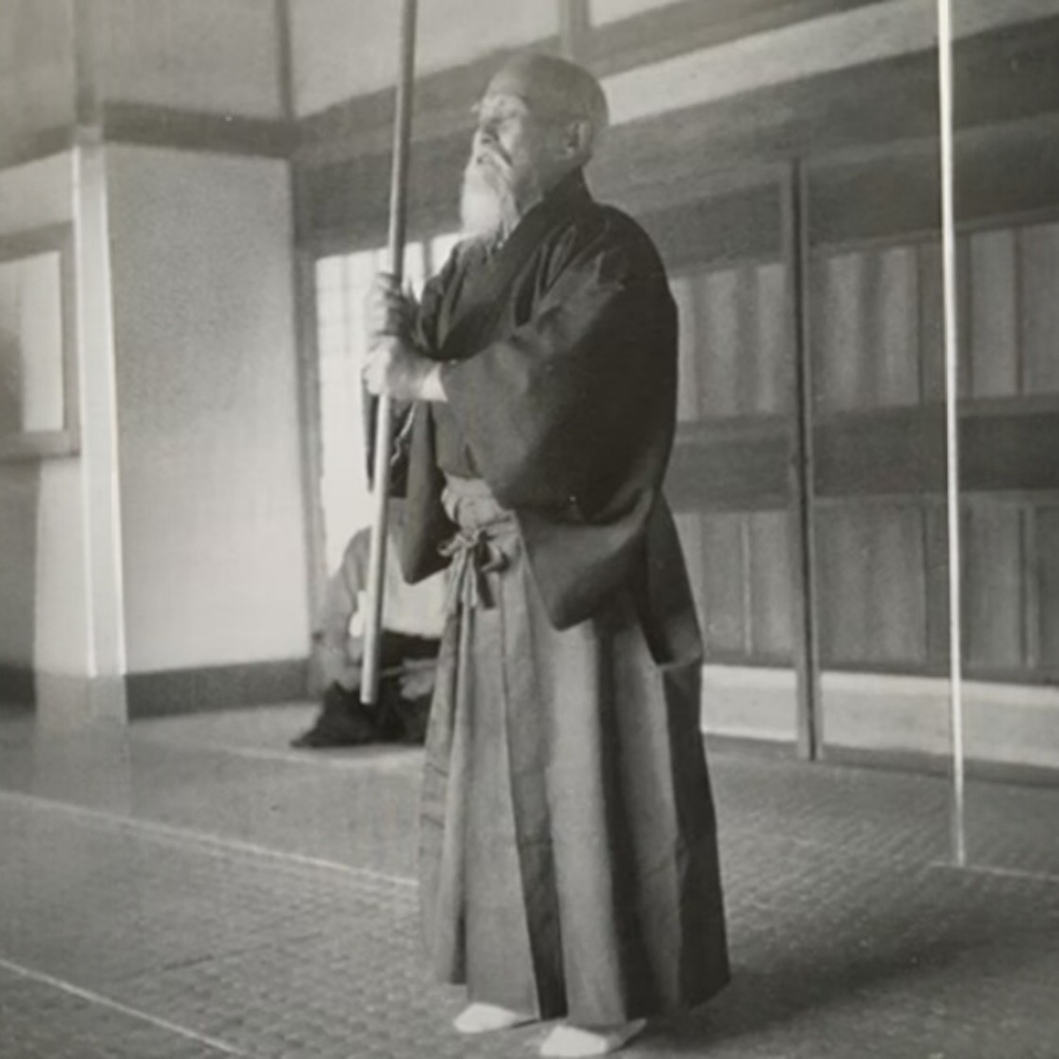 O Poder Criativo do Aikido — 武産合気 (Takemusu Aiki) por Yuka 